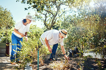 Image showing Couple, together and gardening in backyard with hat for protection from sun in summer. Asian people, man and woman with bond, love or relationship in nature, plants and tools for sustainability