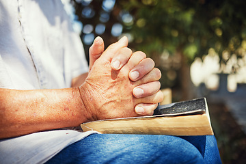 Image showing Outdoor, hands and person with a bible, spiritual and believe with prayer, guidance or religion with hope. Christian, closeup or human with scripture, outside or calm with peace, holy book or worship