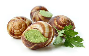 Image showing escargot snail filled with garlic and parsley butter