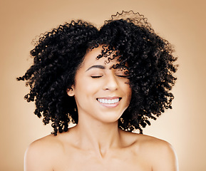 Image showing Woman, curly or wind in afro hair for fun on studio background in healthy hairstyle growth, texture or frizz treatment success. African beauty model, shake or change by shampoo transformation results