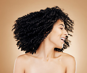 Image showing Happy woman, curly and hair shake afro for fun on studio background in healthy hairstyle growth, texture or frizz treatment. African beauty model, energy and change by shampoo transformation results