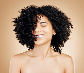 Image showing Happy woman, curly or afro hair wind on fun studio background for healthy hairstyle growth, texture or frizz treatment. African beauty model, shake energy and change by shampoo transformation results