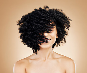 Image showing Woman, curly and hair wind in afro fun on studio background for healthy hairstyle growth, texture and frizz treatment. African beauty model, shake energy and change by shampoo transformation results