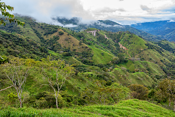 Image showing Landscape in Los Quetzales national park, Costa Rica.