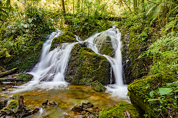 Image showing Small wild mountain river waterfall. San Gerardo de Dota, Costa Rica.