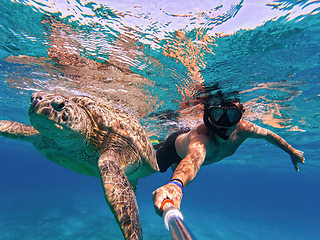 Image showing Snorkel swim with green sea turtle, Marsa Alam, Egypt