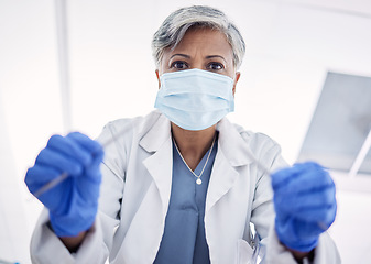 Image showing Oral health, healthcare and portrait of woman dentist with mask doing dental whitening, care and cleaning for hygiene. Medical, professional and orthodontist with equipment or tools for gum treatment