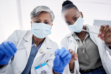 Image showing Dentist, doctors and women with tools for consulting, teeth whitening or dental hygiene at hospital with ppe. Healthcare, professional or people for tooth implant, cleaning or service with equipment