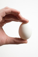 Image showing White Egg