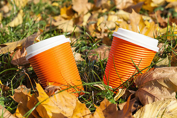 Image showing maple trees during autumn