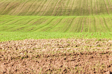 Image showing agricultural field in Europe