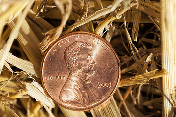 Image showing American coins are cents