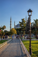 Image showing people resting in Sultan Ahmed park Istanbul, Turkey