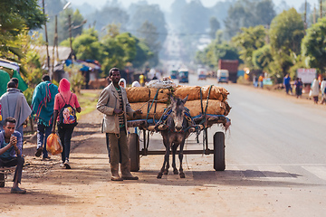 Image showing Man with a donkey cart, Ethiopia