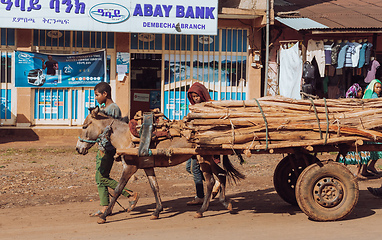 Image showing Boys with horse with cart transport wooden logs, Ethiopia