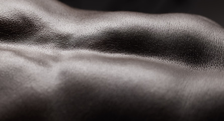 Image showing Fitness, man and muscle and closeup in studio for wellness, stomach and body on dark background. Person, torso and six pack with bodybuilder or guy and strength, topless and zoom or abdomen