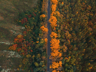 Image showing Aerial view of road in beautiful autumn altai forest