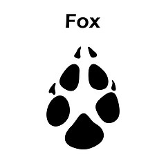 Image showing Fox Footprint