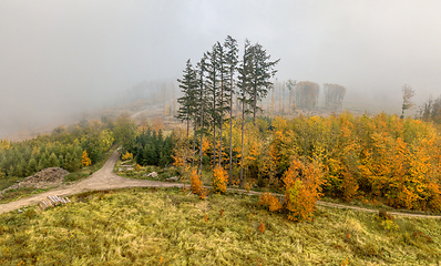 Image showing Aerial view of autumn countryside, traditional fall landscape in central Europe