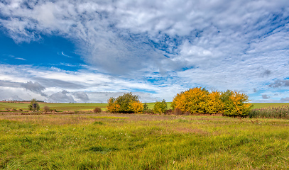 Image showing Autumn lanscape colour trees and meadow