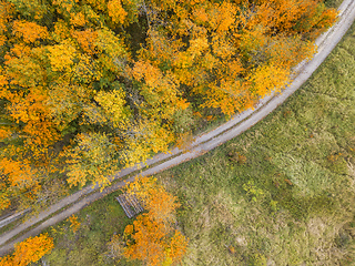 Image showing Aerial view of autumn countryside with railway