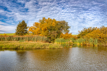 Image showing The sunny autumn morning at the pond