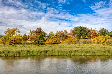 Image showing The sunny autumn morning at the pond