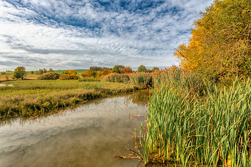 Image showing The sunny autumn morning at the pond