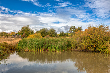 Image showing The sunny autumn morning at the pond