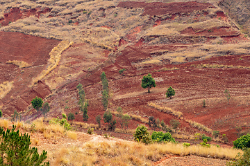 Image showing Central Madagascar landscape - Betafo, Vakinankaratra Madagascar