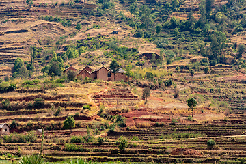 Image showing Central Madagascar landscape - Betafo, Vakinankaratra Madagascar