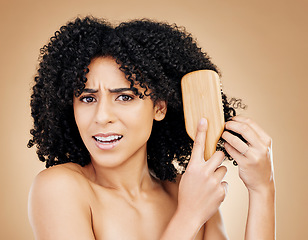 Image showing Hair, beauty and confused woman with afro brush for style isolated in a studio brown background for wellness and skincare. Comb, frustrated and angry person with frizzy knots in Brazil hairdresser