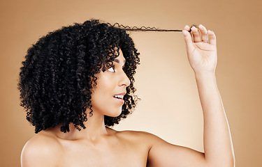 Image showing Woman, hair and strand of afro for beauty, natural growth and coil texture in studio on brown background. Model, curly hairstyle and check results for salon aesthetic, healthy treatment and care