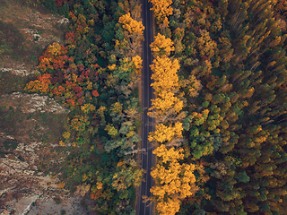 Image showing Aerial view of road in beautiful autumn Altai forest