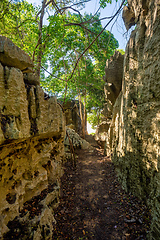 Image showing Petit Tsingy de Bemaraha, Madagascar wilderness landscape