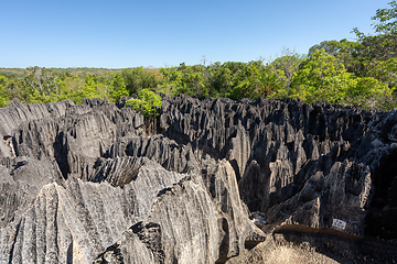 Image showing Petit Tsingy de Bemaraha, Madagascar wilderness landscape