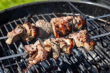 Image showing grilled pork skewers