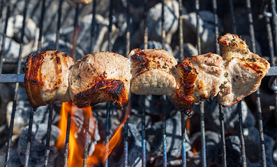 Image showing grilled pork skewers