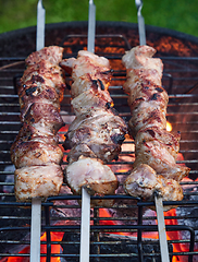 Image showing grilled marinated pork meat skewers