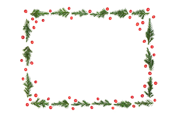 Image showing Juniper Fir and Holly Berry Winter Christmas Background Frame