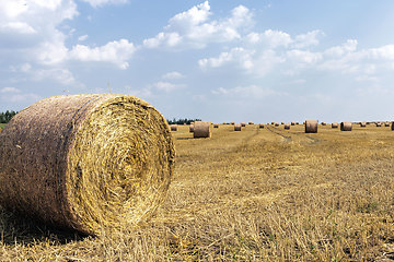 Image showing a stack of straw