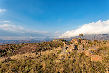 Image showing Andringitra national park,mountain landscape, Madagascar wilderness landscape