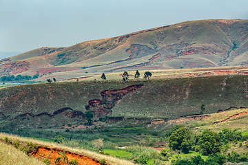 Image showing Devastated central Madagascar landscape - Mandoto, Vakinankaratra Madagascar