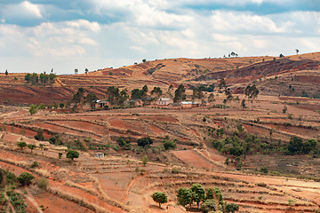 Image showing Devastated central Madagascar landscape - Mandoto, Vakinankaratra Madagascar