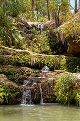 Image showing Rain forest waterfall, Madagascar wilderness landscape