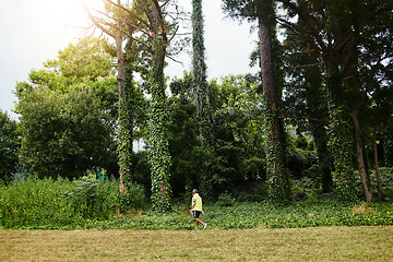 Image showing Senior man, exercise walk and forest in profile, adventure and outdoor for wellness in retirement. Mature person, fitness or workout for health, hiking or freedom in woods, countryside or nature park