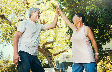 Image showing Asian couple, elderly and high five in park for fitness, exercise and workout in summer with smile. Senior, man or woman or holding hands outdoor in nature or backyard for bonding, love and care