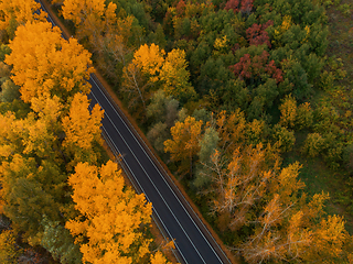 Image showing Aerial view of road in beautiful autumn Altai forest