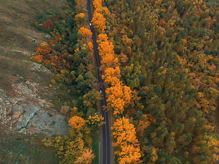 Image showing Aerial view of road in beautiful autumn Altai forest