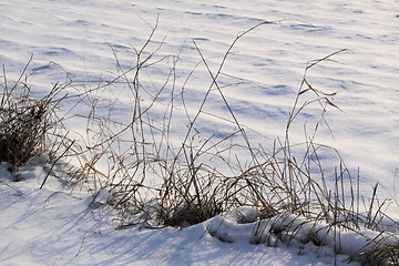 Image showing snow field